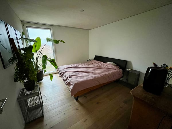 Exklusive 1.5-Zimmer-Attikawohnung: Unverbaubare Weitsicht & Eigentumsstandard 7