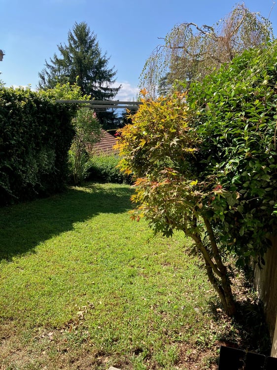 MASSAGNO: Appartamento di 1.5 locali con giardino privativo 1