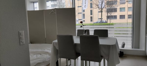 Spacious & Modern Furnished Studio Apartment with Terrace 4