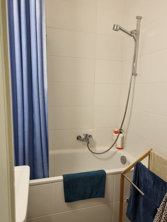 Quiet Flat Augustin - Plainpalais / Appartement calme Quartier Augustin - Plainpalais 8