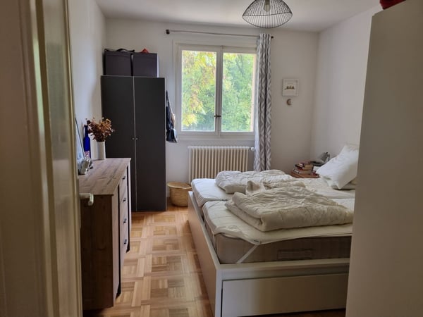 Quiet Flat Augustin - Plainpalais / Appartement calme Quartier Augustin - Plainpalais 12