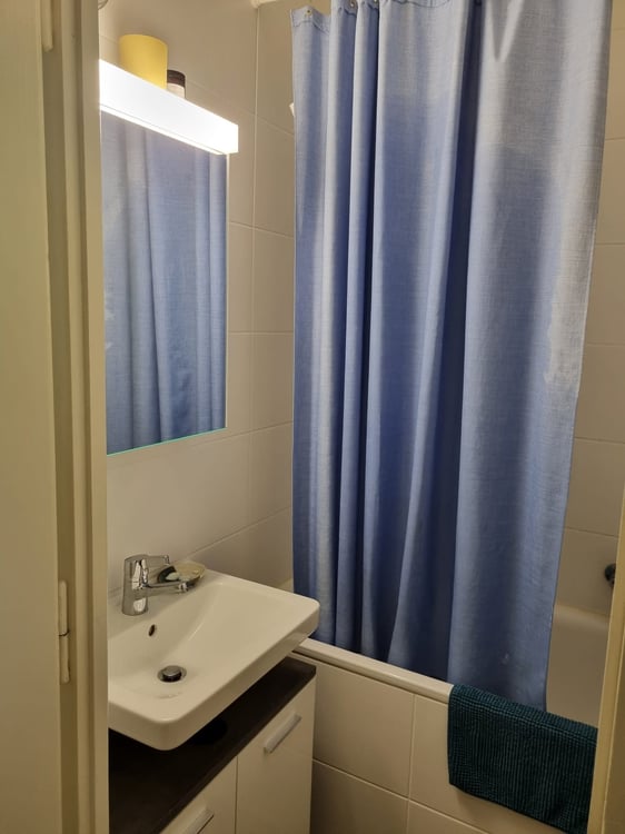 Quiet Flat Augustin - Plainpalais / Appartement calme Quartier Augustin - Plainpalais 9