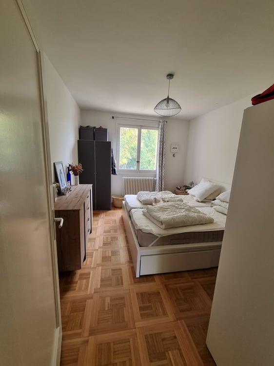 Quiet Flat Augustin - Plainpalais / Appartement calme Quartier Augustin - Plainpalais 13