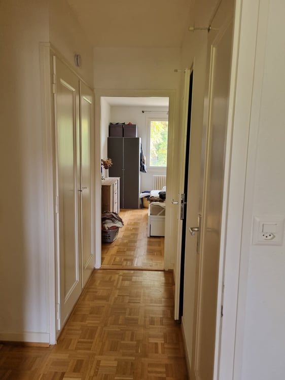 Quiet Flat Augustin - Plainpalais / Appartement calme Quartier Augustin - Plainpalais 10