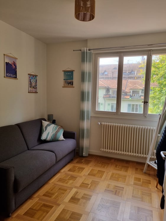 Quiet Flat Augustin - Plainpalais / Appartement calme Quartier Augustin - Plainpalais 7