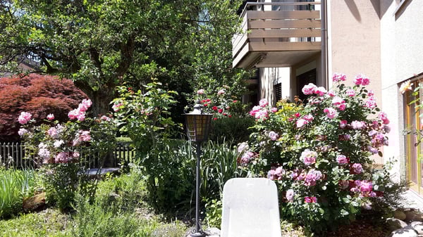 grosszügiges 1.5-Zimmer EFH an sonniger, ruhiger und familienfreudlicher Lage 20