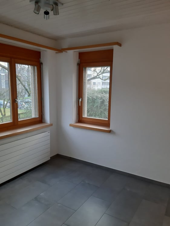 grosszügiges 1.5-Zimmer EFH an sonniger, ruhiger und familienfreudlicher Lage 4