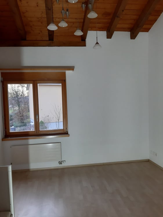 grosszügiges 1.5-Zimmer EFH an sonniger, ruhiger und familienfreudlicher Lage 15