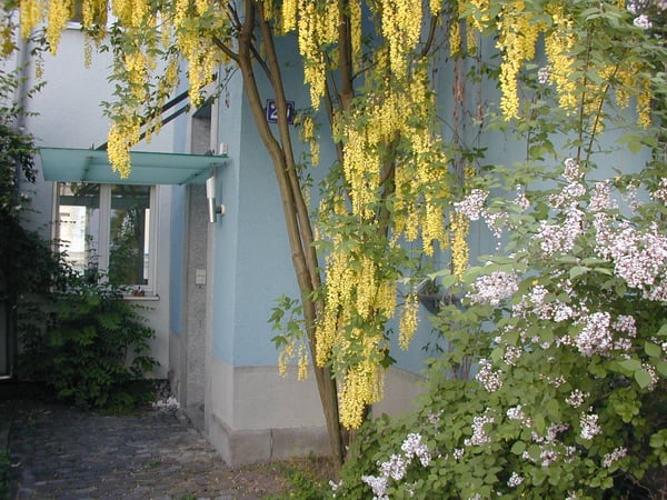 Büroräumlichkeiten im blauen Beratungshaus zu vermieten 2
