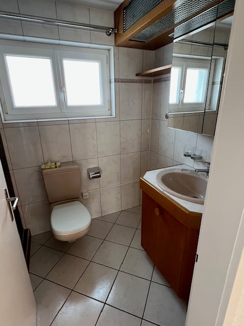 Charmantes 1-Zimmer-Einfamilienhaus mit Garten in Bad Zurzach 6