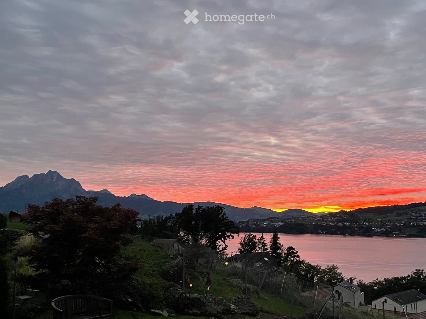 Garden with wooden bench, surrounded by lush greenery, overlooking a lake and mountains.