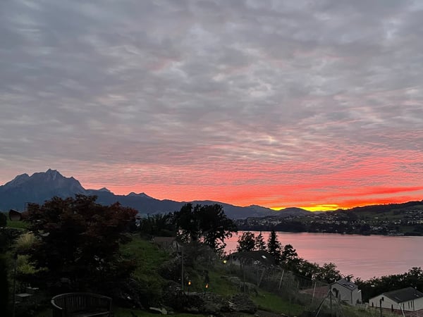 Vorschaubild der Immobilie