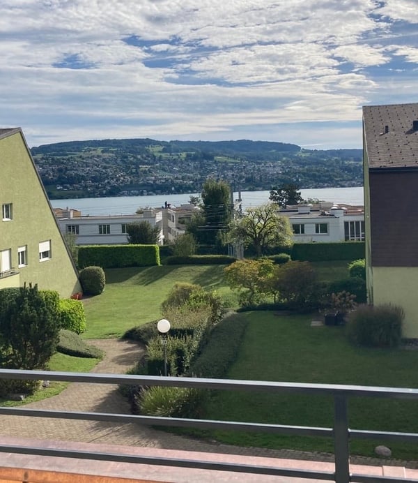 Erstvermietung: Terrassenwohnung in Thalwil 1