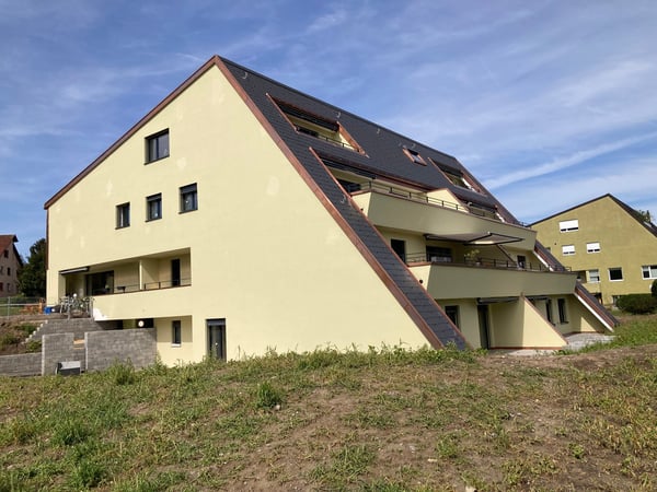 Erstvermietung: Terrassenwohnung in Thalwil 5