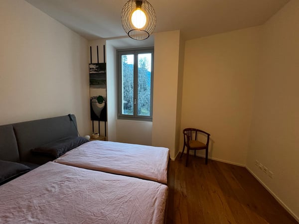 Moderno appartamento 1.5 in villa d'epoca a Bellinzona con vista 5