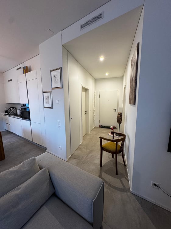 Moderno appartamento 1.5 in villa d'epoca a Bellinzona con vista 4