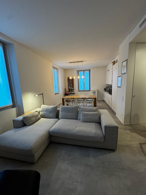 Moderno appartamento 1.5 in villa d'epoca a Bellinzona con vista 2