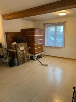 Terrassenwohnung im Grünen in Eschenz 8