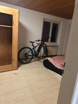 Terrassenwohnung im Grünen in Eschenz 5