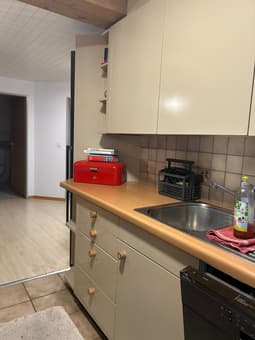 Terrassenwohnung im Grünen in Eschenz 1