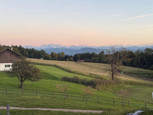 Vorschaubild der Immobilie