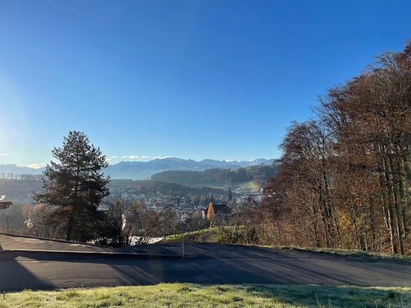 Bauland in Wald ZH Parz. 9743 1