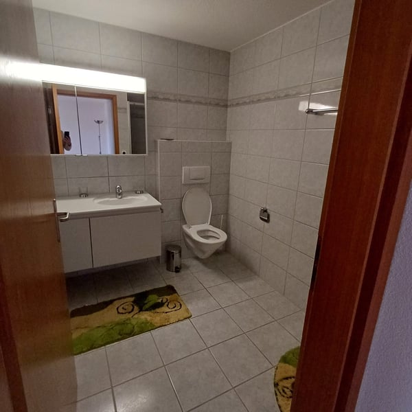 Möblierte 1.5-Zimmer-Wohnung in ruhiger Lage mit Fernsicht in Wohlen AG 7