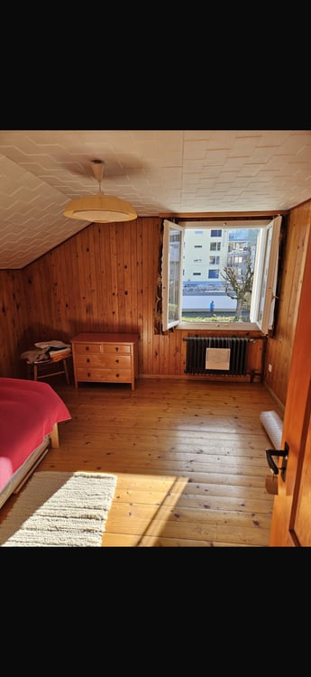 Charmantes 1.5-Zimmer-Chalet in ruhiger Lage von Einsiedeln 2