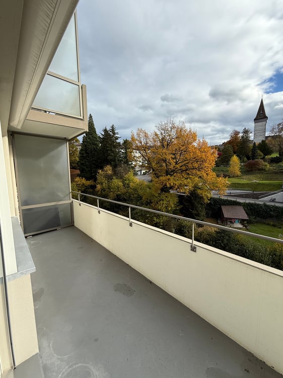 Frisch renovierte 1.5-Zimmerwohnung mit traumhafter Aussicht in Luzern 11