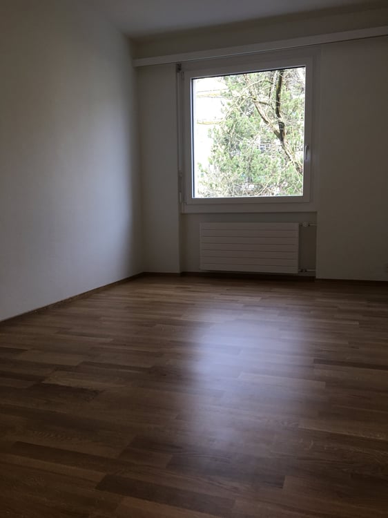 Frisch renovierte 1.5-Zimmerwohnung mit traumhafter Aussicht in Luzern 10