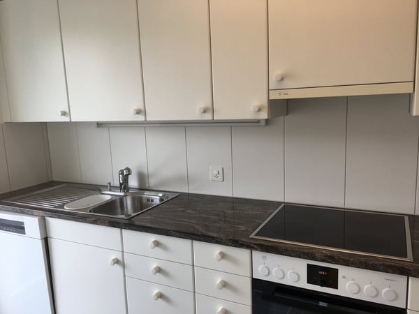 Frisch renovierte 1.5-Zimmerwohnung mit traumhafter Aussicht in Luzern 7