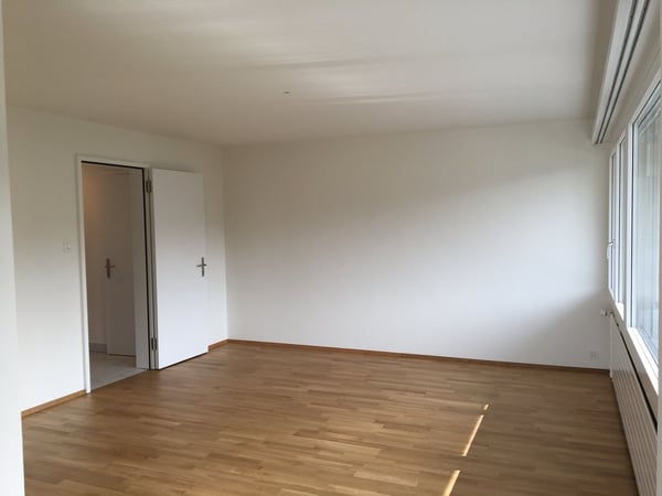 Frisch renovierte 1.5-Zimmerwohnung mit traumhafter Aussicht in Luzern 4