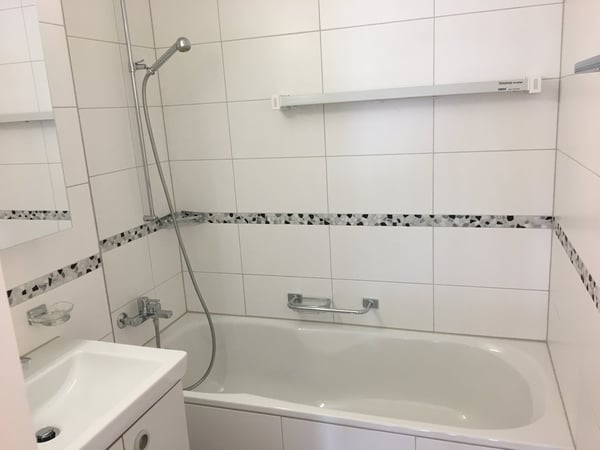 Frisch renovierte 1.5-Zimmerwohnung mit traumhafter Aussicht in Luzern 8