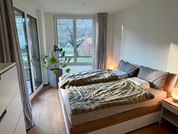 Ruhige 4.5-Zimmer-Neubauwohnung mit Terrasse an der Sihl 3