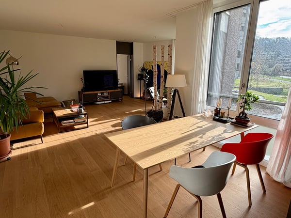 Ruhige 4.5-Zimmer-Neubauwohnung mit Terrasse an der Sihl 1