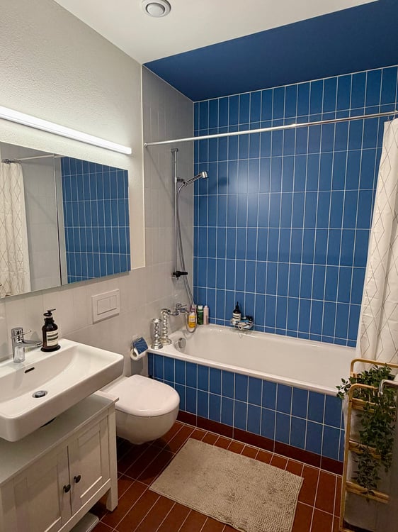 Ruhige 4.5-Zimmer-Neubauwohnung mit Terrasse an der Sihl 5