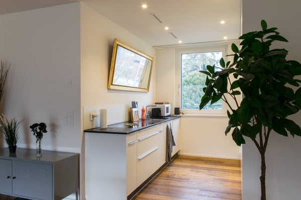 Moderne 1.5-Zimmer-Wohnung mit Balkon in Schlieren 4