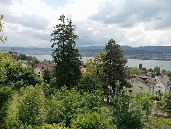 Traumhaftes Bauland mit Seeblick in Erlenbach ZH 6
