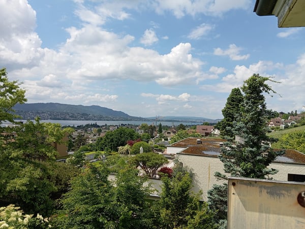 Traumhaftes Bauland mit Seeblick in Erlenbach ZH 3