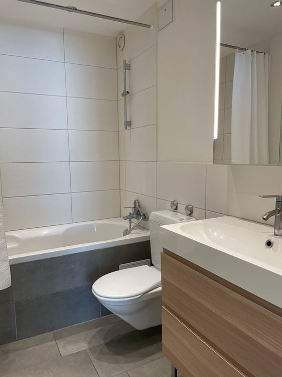 Möbliertes Wohnobjekt in 4054 Basel 8