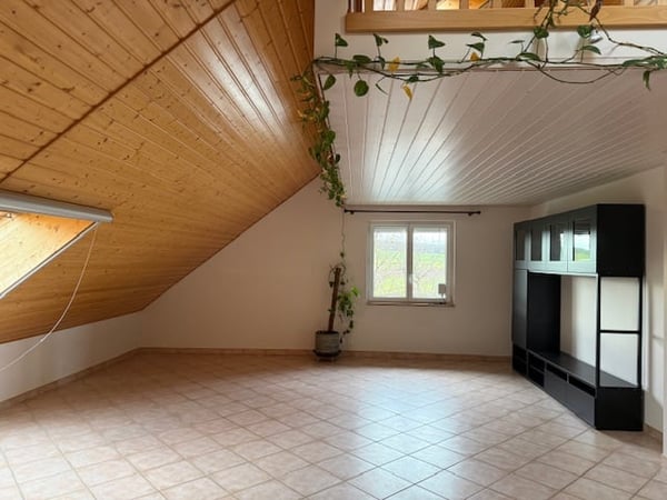 Joli appartement de 1 pièces dans une ferme à Puidoux 2