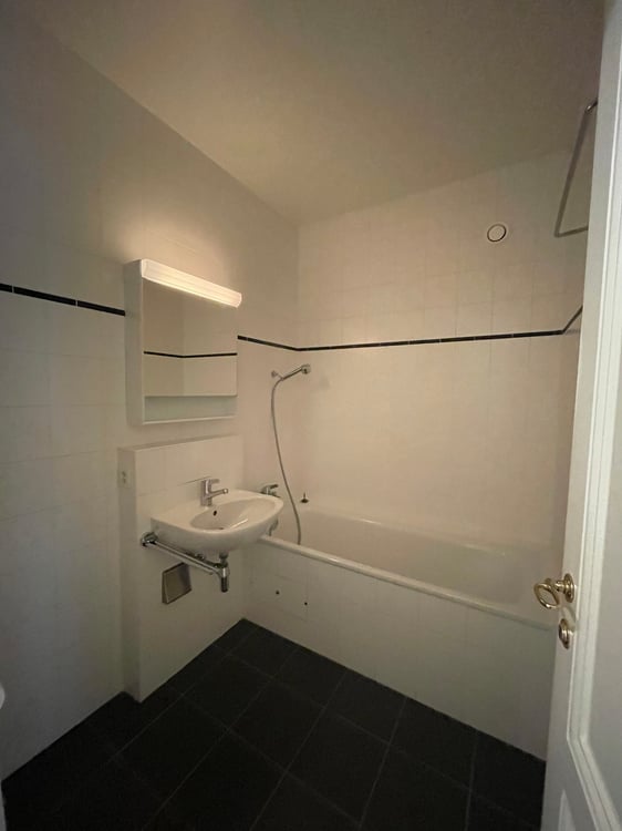 Magnifique appartement de 1 pièces aux Eaux-Vives 9