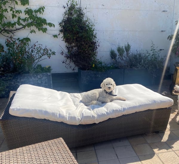 Rarität: Charmante 1.5-Zimmer-Dachwohnung im Herzen der Zürcher Altstadt 12