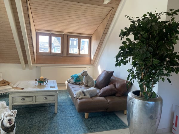 Rarität: Charmante 1.5-Zimmer-Dachwohnung im Herzen der Zürcher Altstadt 13