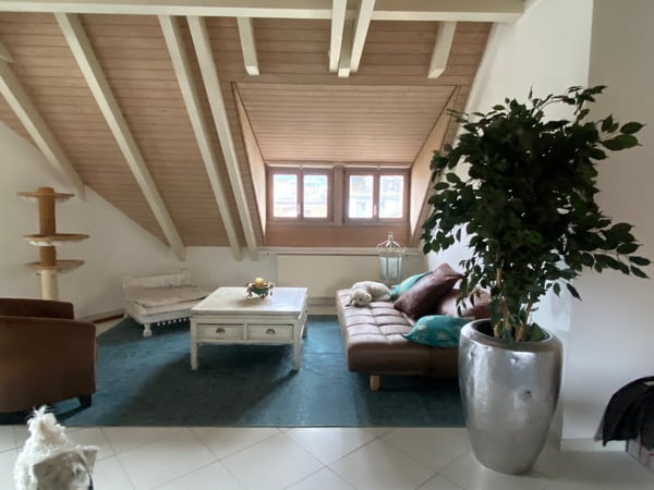 Rarität: Charmante 1.5-Zimmer-Dachwohnung im Herzen der Zürcher Altstadt 5