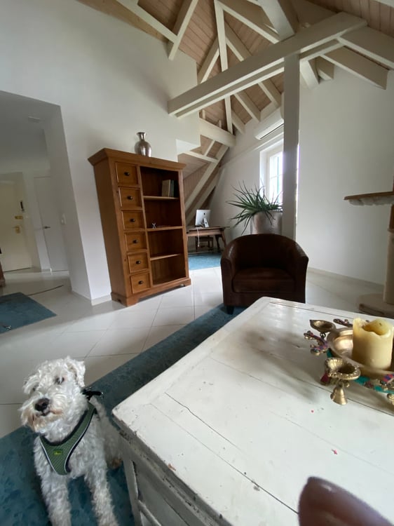 Rarität: Charmante 1.5-Zimmer-Dachwohnung im Herzen der Zürcher Altstadt 2