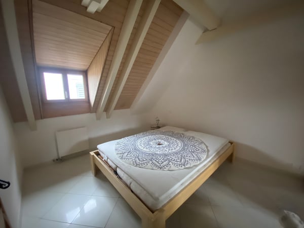 Rarität: Charmante 1.5-Zimmer-Dachwohnung im Herzen der Zürcher Altstadt 3