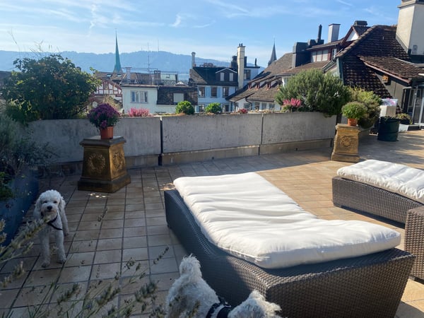 Rarität: Charmante 1.5-Zimmer-Dachwohnung im Herzen der Zürcher Altstadt 16