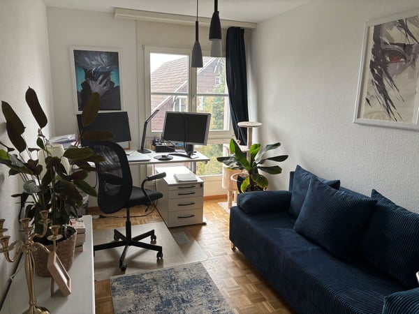 Moderne 1.5-Zimmer-Wohnung mit Balkon und Parkplatz in Emmen 3