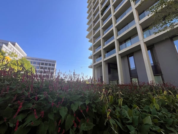 Modern 1.5-Room Apartment in Glattpark with Balcony 5